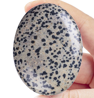 Natural Polished Dalmatian Jasper Palm Stone Oval Shaped Dalmatian Crystal Energy Stone for Buildings Decoration