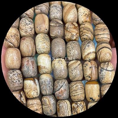 Gems Bead Dalmatian Jasper Natural Crystal Gemstone Barrel Shape Loose Bead Strands for Jewelry Making
